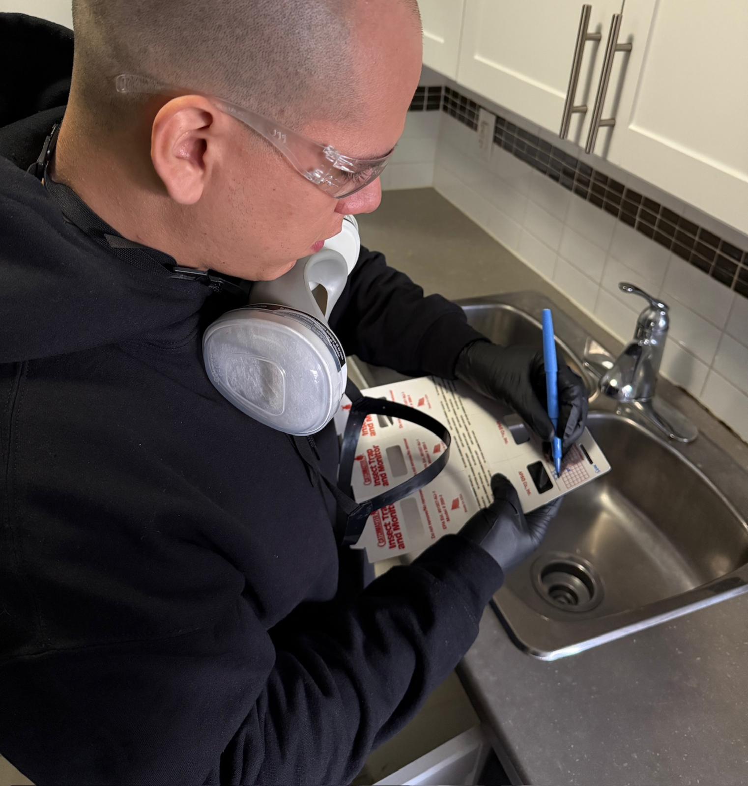IPM Inspection in Action